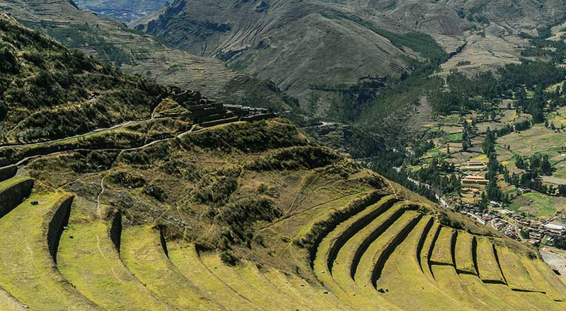 machupicchu-lama